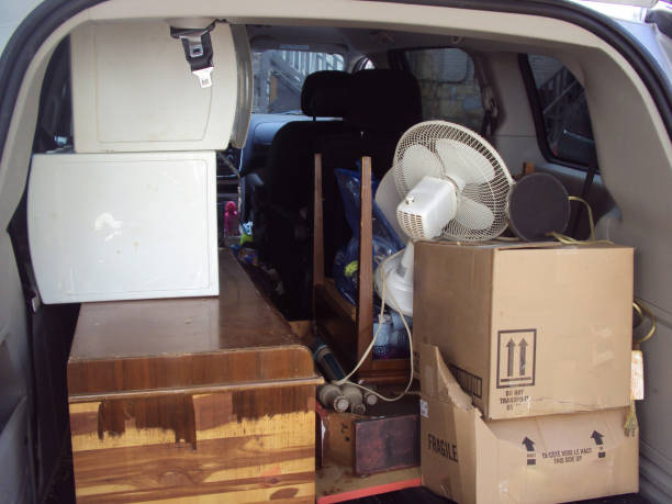 Best Construction Debris Removal  in Lauderdale, MN